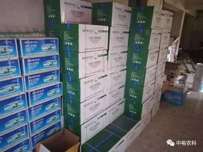 白生生棉花脫葉劑沙灣金溝河鎮(zhèn)總經(jīng)銷 專業(yè)產品技術咨詢服務