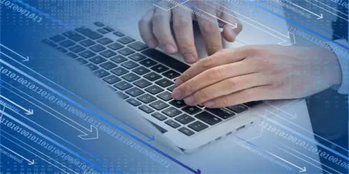 信息技術服務逆勢領漲，新IT持續(xù)引領數(shù)字化破局